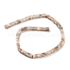 Natural Red Line Jasper Beads Strands&nbsp;G-Q1008-B05