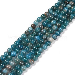 Natural Apatite Beads Strands&nbsp;X-G-D856-01-4mm