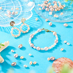 60Pcs 3 Styles Natural Cultured Freshwater Pearl Beads&nbsp;PEAR-TA0001-24