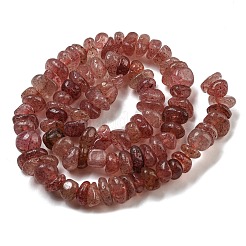 天然石ストロベリークォーツビーズ連売り  チップ  8~15x5~7x7~8mm  穴：0.9mm  15.98''（40.6センチメートル）&nbsp;G-G841-B14