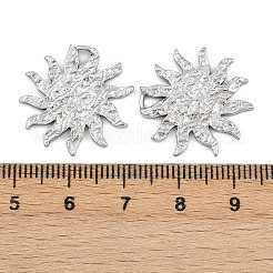 304 Stainless Steel Pendants&nbsp;STAS-L303-22P