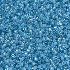 MIYUKI Delica Beads&nbsp;SEED-MY11-DB1761