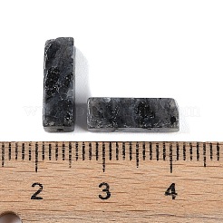 天然ラルビカイトビーズ  直方体の  13x4x4mm  穴：1.4mm&nbsp;LS-G-G137-01M