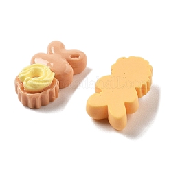 Cute Mini Cartoon Series Resin Cabochons&nbsp;CRES-I037-05B