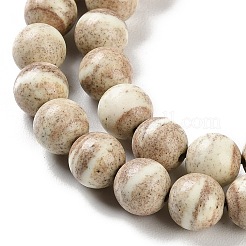 Natural Rainbow Alashan Agate Beads Strands&nbsp;G-NH0022-A10-02