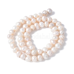 Natural Cultured Pearl Beads Strands&nbsp;PEAR-I007-07R-02A