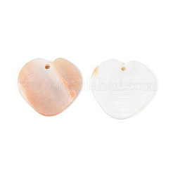Natural Freshwater Shell Pendants&nbsp;SHEL-T020-34