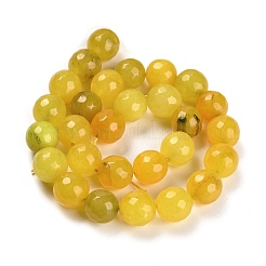Natural Agate Beads Strands&nbsp;G-L595-A01-01G