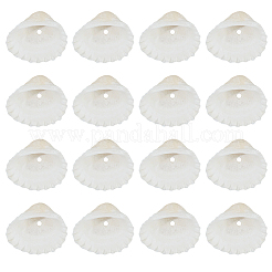 天然淡水シェルビーズ 120 個  シェル形状  貝殻色  18~24x22~32x8~10mm  穴：1.2mm&nbsp;BSHE-PA0001-04
