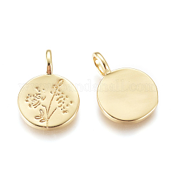 Brass Pendants&nbsp;KK-D159-03G-B