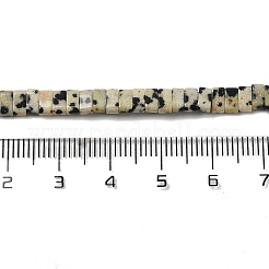 天然石ダルメシアンジャスパービーズ連売り  2穴  長方形  2.5~3x5x2.5mm  穴：0.8mm  約138~140個/連  15.28''~15.31''（38.8~38.9センチメートル）&nbsp;G-Z045-A07-01