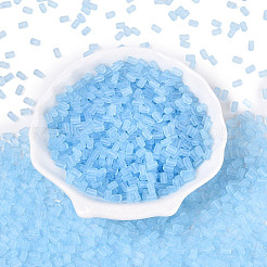 FGB Frosted Transparent Glass Seed Beads&nbsp;SEED-N013-05A-11