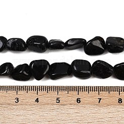 天然石ブラックトルマリンビーズ連売り  ナゲット  タンブルストーン  8~13x8~10x3~8mm  穴：1mm  約49~50個/連  15.55~15.75''（39.5~40センチメートル）&nbsp;G-Q060-E15