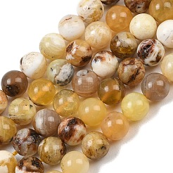 Natural Yellow Opal Beads Strands&nbsp;G-G992-A02-A