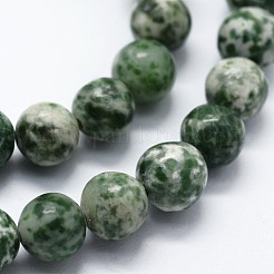 Natural Green Spot Jasper Beads Strands&nbsp;G-I199-30-12mm
