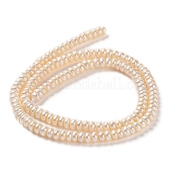 天然養殖淡水パールビーズ連売り  ロンデル  パパイヤホイップ  3.5~4x2~3mm  穴：0.7mm  約131~133個/連  15.35''（39センチメートル）&nbsp;PEAR-J007-45