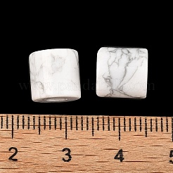 Natural Howlite Beads&nbsp;G-I395-B04