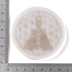 Flat Round Natural Selenite Slice Coasters&nbsp;DJEW-C015-02K