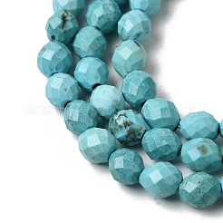 Dyed Natural Howlite Beads Strands&nbsp;G-K376-F06-01