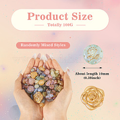 100G Transparent Acrylic Beads&nbsp;OACR-BT0001-05F
