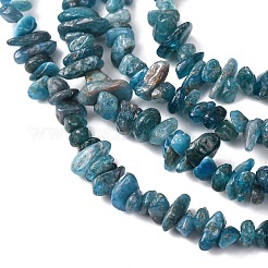 Natural Apatite Beads Strands&nbsp;G-F666-01B-02-01