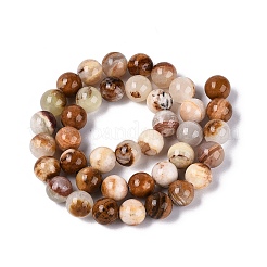 Natural Wood Lace Stone Wooden Jasper Beads Strands&nbsp;G-B128-A04-04