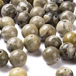 100Pcs 8mm Natural Fossil Coral Round Beads&nbsp;DIY-LS0002-34
