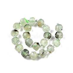 Natural Prehnite Beads Strands&nbsp;G-N327-08H