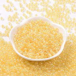 6/0 Glass Seed Beads&nbsp;SEED-T006-04F-09