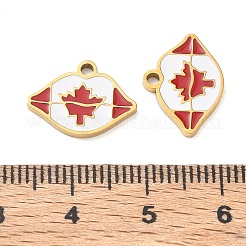 304 Stainless Steel Enamel Pendants&nbsp;SA-CBA7876-38G-03