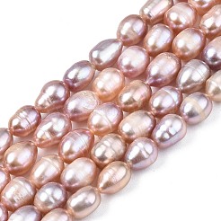 天然養殖淡水パールビーズ連売り  ライス  プラム  7.5~11x6~7.5mm  穴：0.8mm  約37~43個/連  14.06インチ〜14.29インチ（35.7cm〜43cm）&nbsp;PEAR-N012-06A