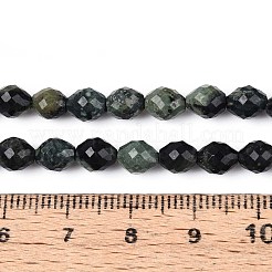 Natural Kambaba Jasper Beads Strands&nbsp;G-T142-86
