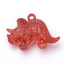 Transparent Acrylic Pendants&nbsp;TACR-T002-06