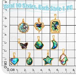 10Pcs 10 Styles Natural Paua Shell Pendants&nbsp;KK-PH0014-29