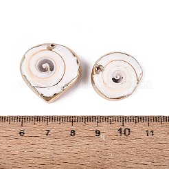 電気メッキ天然シヴァアイシェルペンダント  貝殻の形のチャーム  鉄製のループと真鍮製の金具付き  貝殻色  ライトゴールド  20~27x20~25x6~8mm  穴：0.9~1.4mm&nbsp;SSHEL-Q100-12KCG