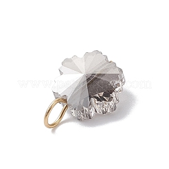 5Pcs 5 Colors Electroplate Glass Snowflake Charms&nbsp;PALLOY-JF04336-01