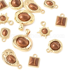 12Pcs 6 Styles Alloy Resin Pendants&nbsp;FIND-FS0004-05