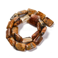 Natural Crazy Agate Beads Strands&nbsp;G-T047-B18-01