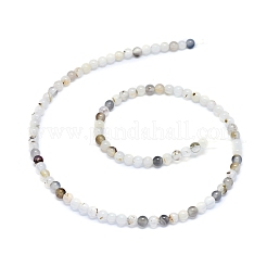 天然樹枝状瑪瑙ビーズ連売り  ラウンド  4~4.5mm  穴：0.6mm  90個/連  14.76インチ（37.5 cm）&nbsp;G-D0005-18-4mm