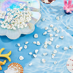 100Pcs 2 Colors Natural Trochus Shell Nuggets Charms&nbsp;PALLOY-FH00130