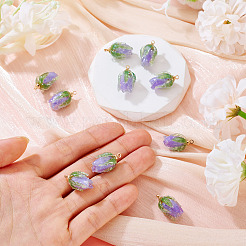10Pcs Transparent Acrylic Pendants&nbsp;SACR-TA0001-66C