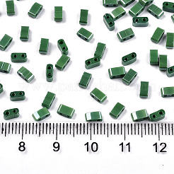 FGB 2-Hole Glass Seed Beads&nbsp;SEED-S031-M-SH127