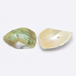 Dyed Natural Spiral Shell Chips Beads&nbsp;SHEL-A003-B04