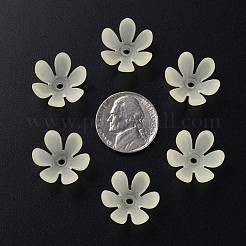 Transparent Acrylic Beads&nbsp;MACR-S373-47-D03