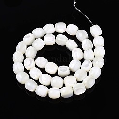 天然トロチッドシェル/トロカスシェルビーズ連売り  バレル  乳白色  9~10x8.5~10mm  穴：1mm  約40個/連  15.75インチ（40cm）&nbsp;SSHEL-N040-09