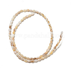 Natural Freshwater Shell Beads Strands&nbsp;SHEL-H072-03