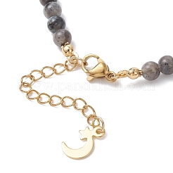 Natural Larvikite Round Graduated Beaded Necklaces&nbsp;NJEW-JN05654-03