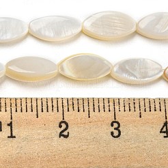 Natural Freshwater Shell Beads Strands&nbsp;BSHE-Z005-05