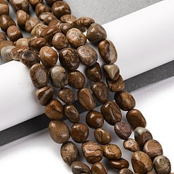 Natural Picture Jasper Beads Strands&nbsp;LS-G-G146-A01-01