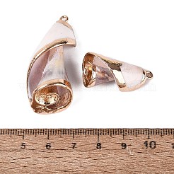 Electroplated Golden Brass Trim Natural Spiral Shell Pendants&nbsp;SSHEL-Q101-06